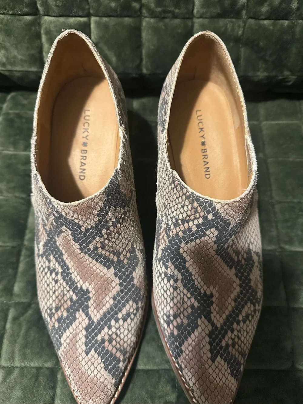 Lucky Brand Pointed Snake-Print Ankle Booties in Taupe and Black